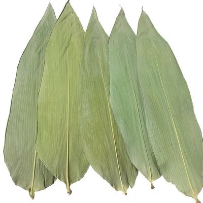 Suşi Yemekleri İçin Çevre Dostu 33cm Taze Bambu Yaprakları
