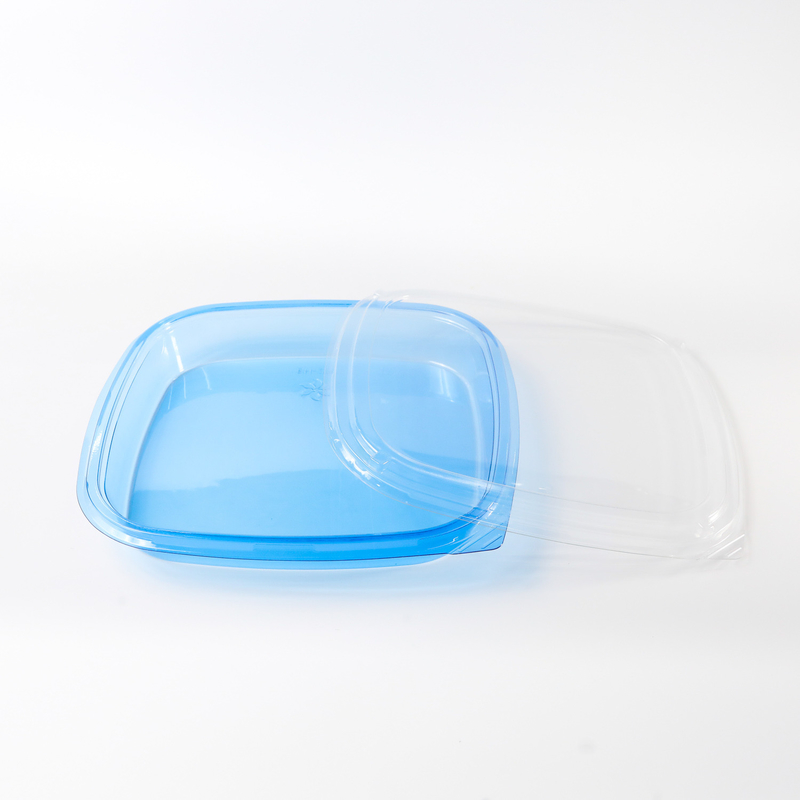 Kare gıda konteyneri Takeaway Paketleme Kutusu İyi Gıda için Plastik Plastik Mavi Tek kullanımlık Sushi Kutusu