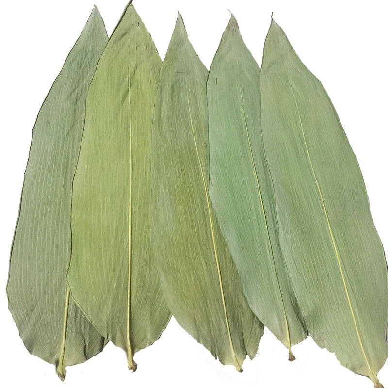 Suşi Yemekleri İçin Çevre Dostu 33cm Taze Bambu Yaprakları