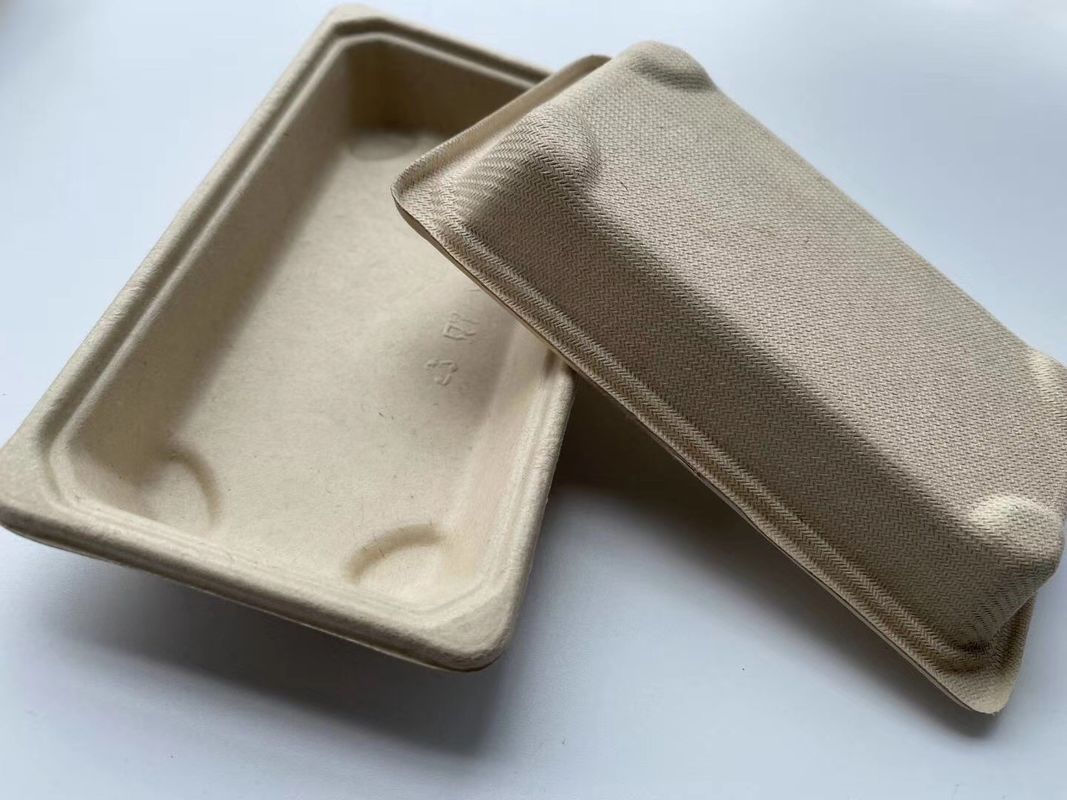 Kağıt Suşi Biyobozunur Take Away Kutusu Tek Kullanımlık