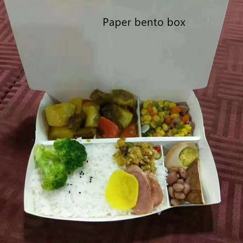 Dikdörtgen Kraft Kağıt Take Away Kutusu PET Kapaklı Tek Kullanımlık Kompostlanabilir