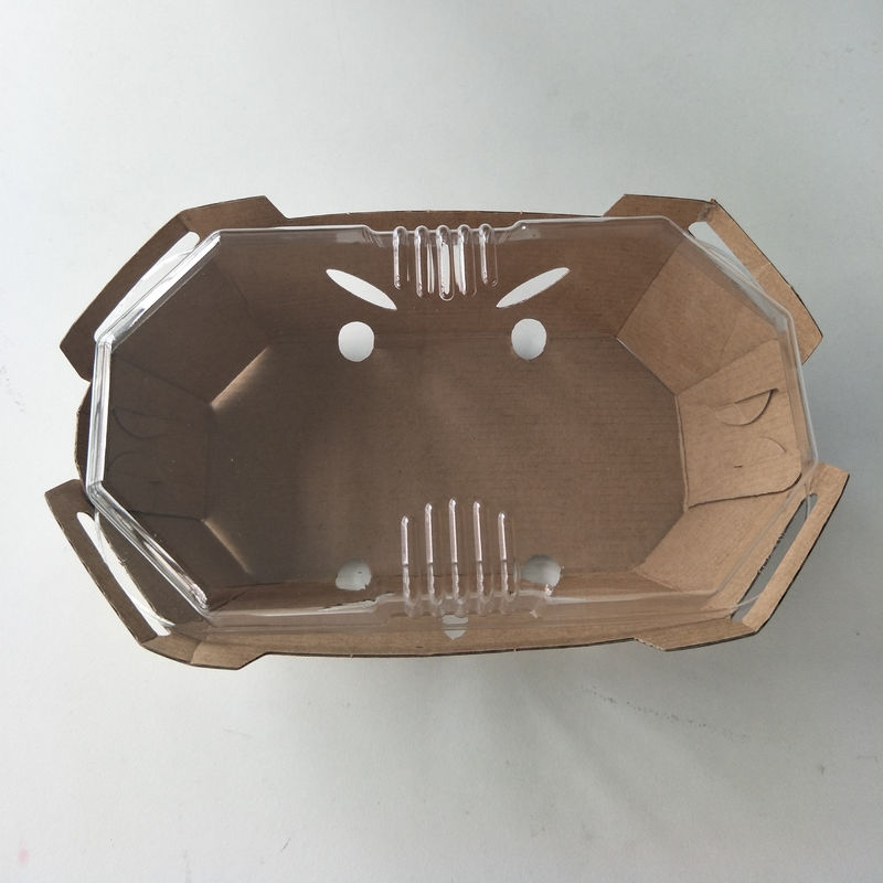 PET Kapaklı Geri Dönüştürülebilir 350gsm Kraft Kağıt Meyve Tepsisi