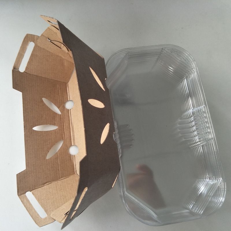 PET Kapaklı Geri Dönüştürülebilir 350gsm Kraft Kağıt Meyve Tepsisi