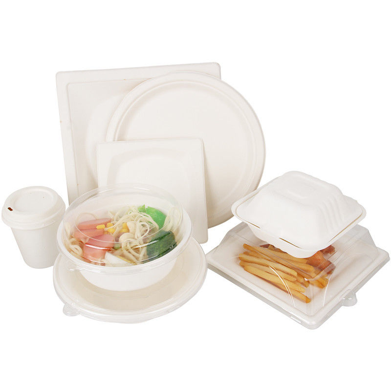 Suşi İçin Tek Kullanımlık Şeker Kamışı Bagasse Biyobozunur Take Away Kutusu